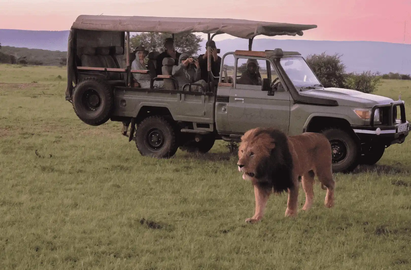 Kenya Safari Cost: What a 5,7 or 10-Day Safari Really Costs