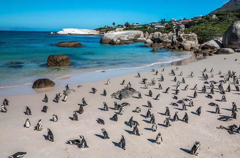 South Africa