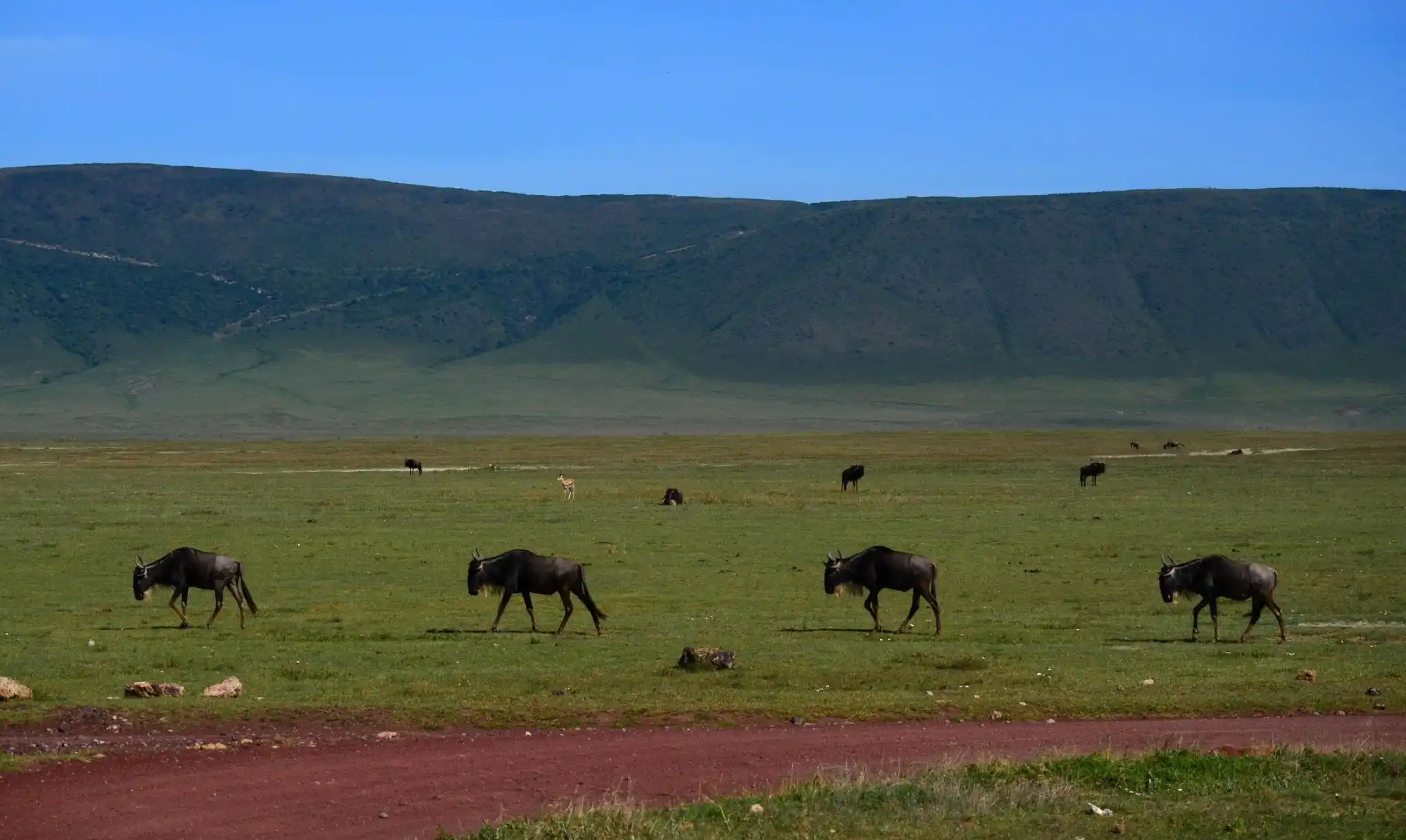 Tanzania