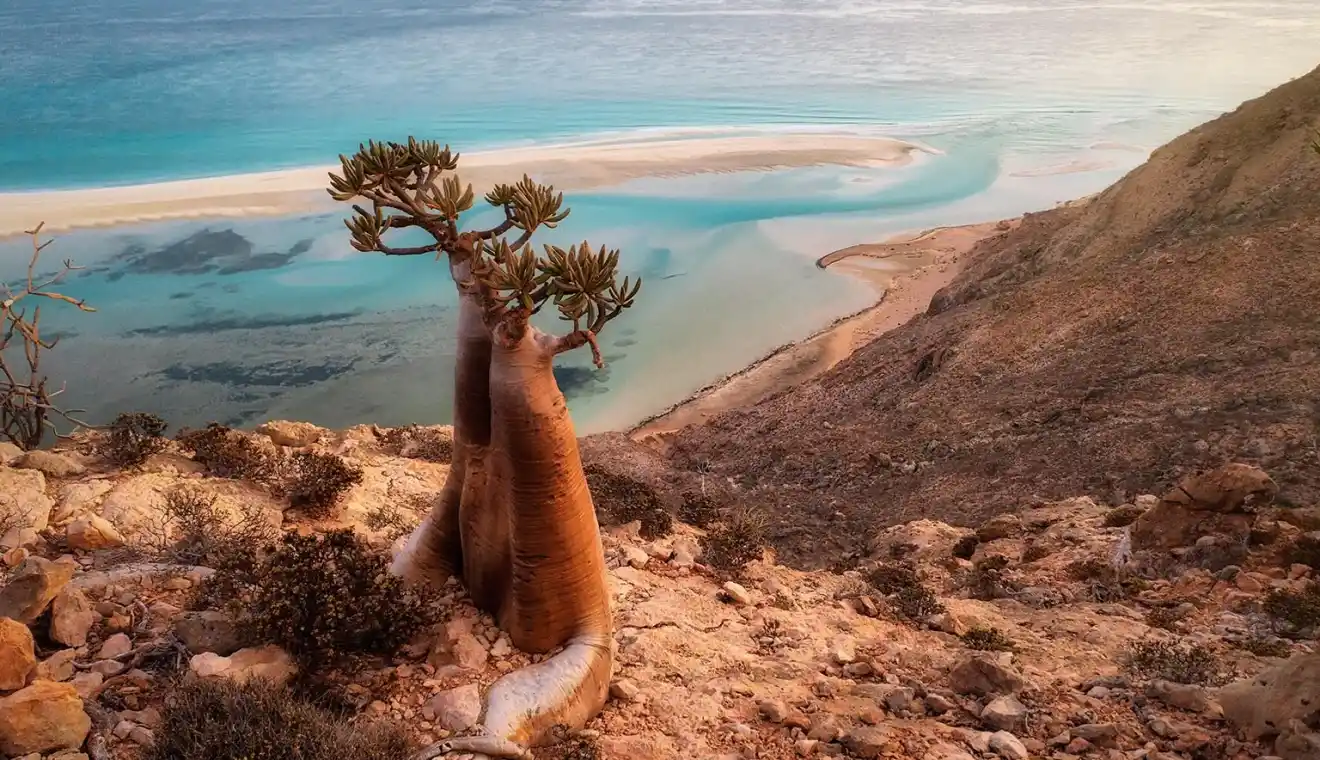 Yemen